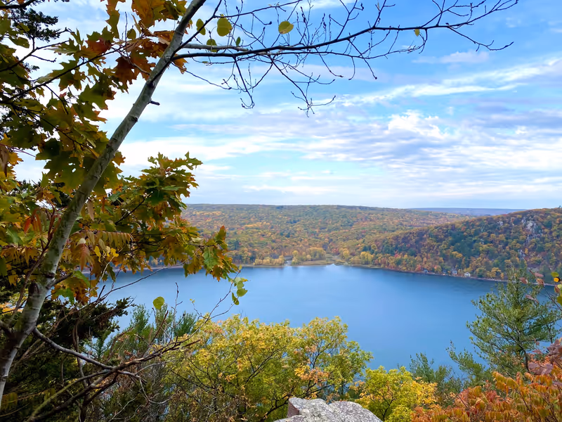 A shot from within the forest on Devil’s lake capturing the beauty of autumn in Wisconsin through the beautiful hues of yellow and gold