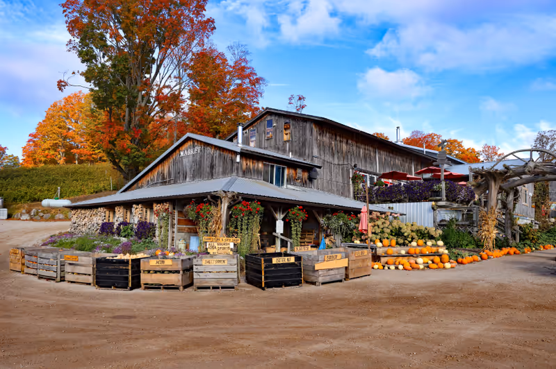 Harbor Springs, MI, USA - October 16, 2024: The main building at Pond Hill Farm, which is highly decorated with beautiful pumpkins, grown on the property.