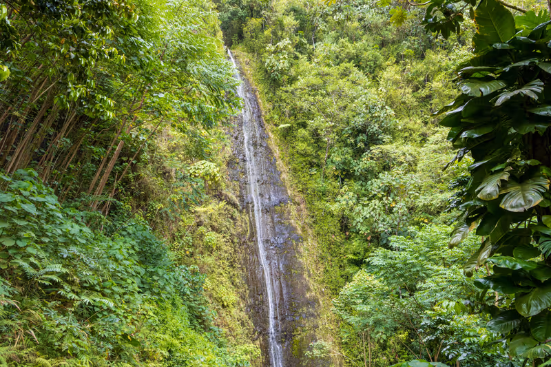 the falling waters of Manoa Falls surrounded by lush green trees, plants and foliage in Honolulu Hawaii USA