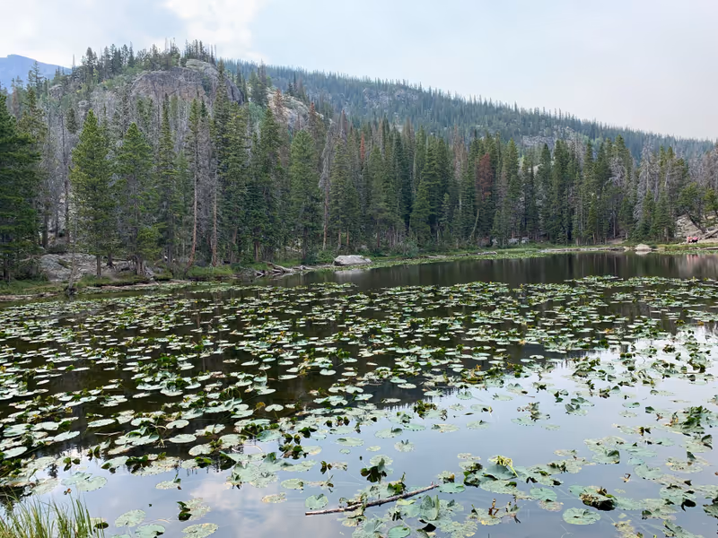 Nymph Lake in Rocky Mountain National Park