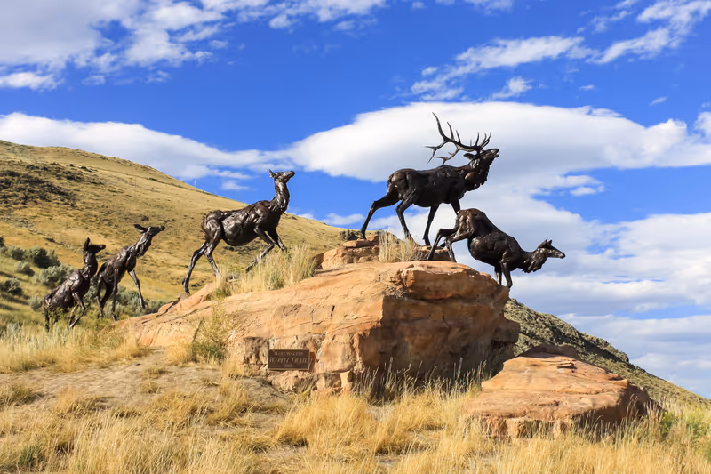 JACKSON, WYOMING - CIRCA AUGUST 2012. Bart Walter bronze sculpture "Wapiti Trail" in National Museum of Wildlife Art