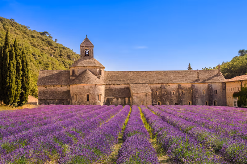 Cistercian Sénanque Abbey with lavender field, in Gordes, Vaucluse, Provence, Provence-Alpes-Côte d'Azur, France