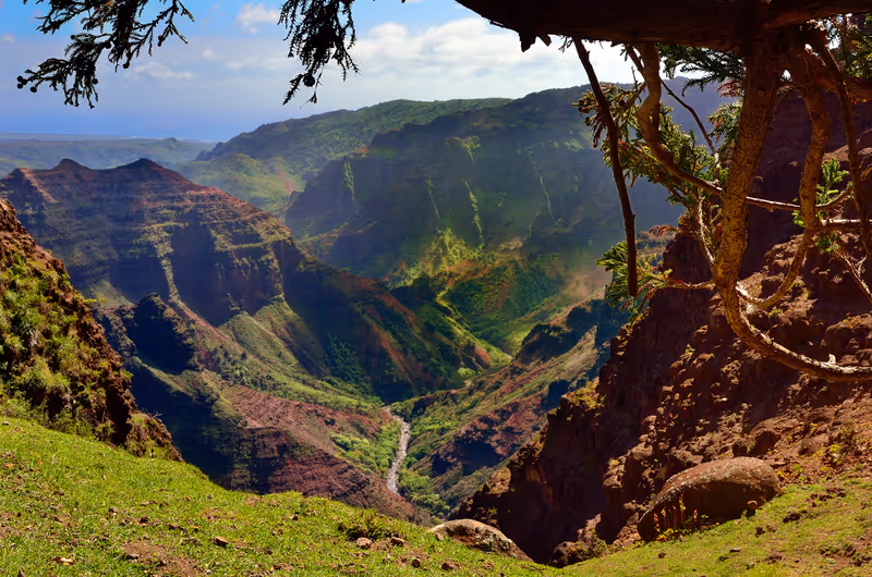 Hawaii Kauai Waimea canyon lookout picnic place