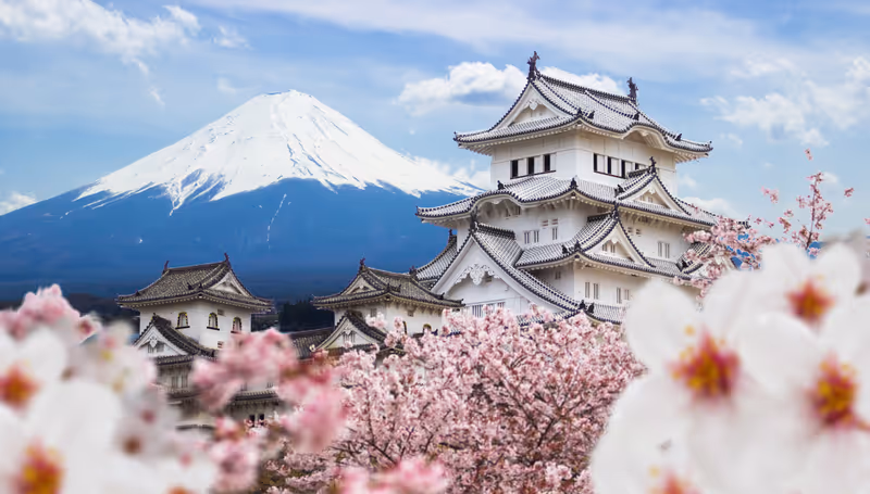 Himeji Castle and full cherry blossom, with Fuji mountain background, Japan