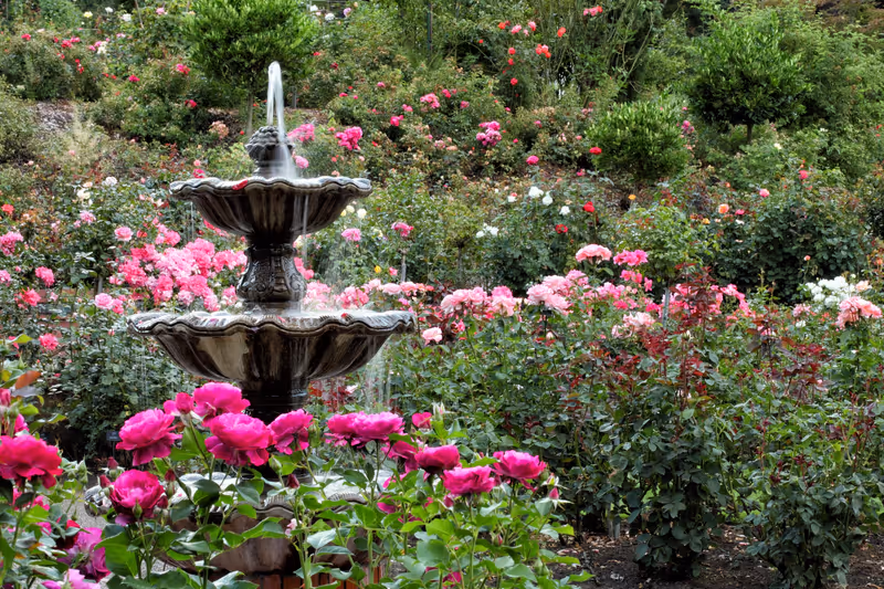 The fountain in the International Rose Test Garden located in Portland Oregon.