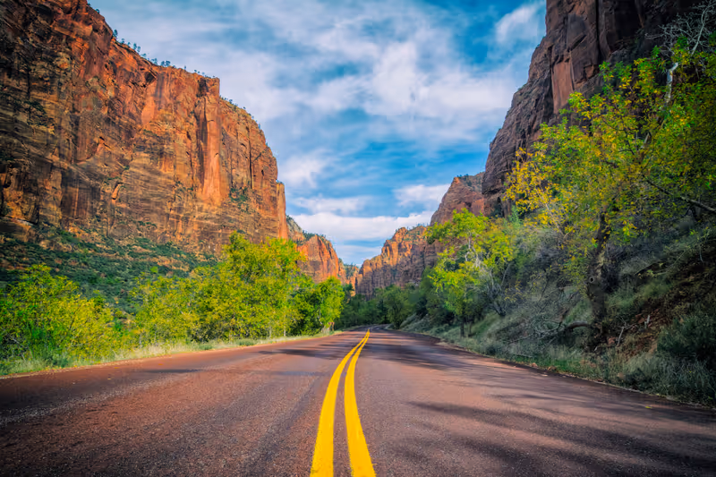 The Zion Canyon Scenic Drive.