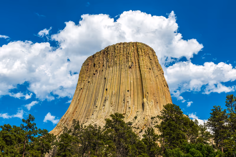 The majestic Devil 's tower during a sunny summer day with lovely clouds in the sky near Buffalo, State of Wyoming, United States of America (USA).