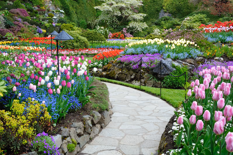 butchart garden in spring, victoria, british columbia, canada