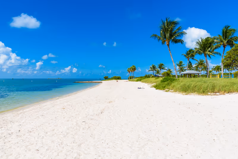 Sombrero Beach with palm trees on the Florida Keys, Marathon, Florida, USA. Tropical and paradise destination for vacation.